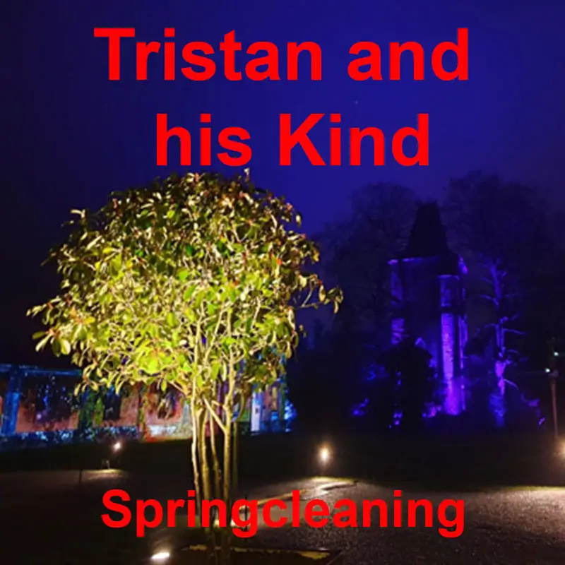 Tristan and is king - Springcleaninge